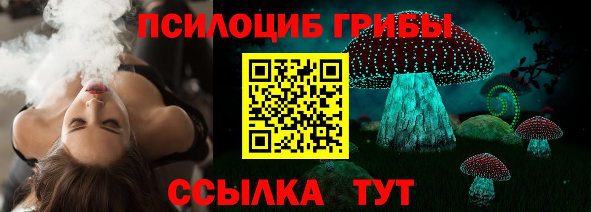 Галлюциногенные грибы Psilocybe  Вход с VPN  Асино 
